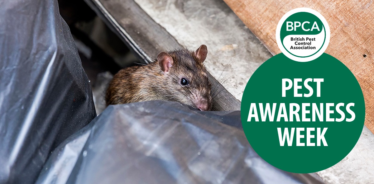 Pest Awareness Week 2018 Pest Awareness Week 2018